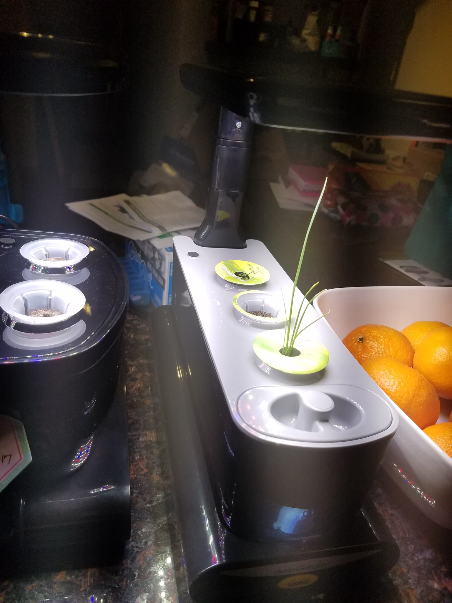 Update #1: Sprout 1:Dill, Basil, Thai BasilSprout 2:Thyme, Oregano, Chives