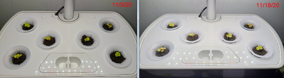 Update #4: Ok, so I took a picture this morning. Is this project worth keeping? What do you think? Below are two pictures y…