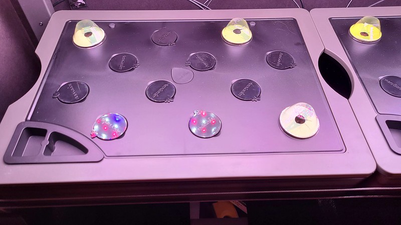 Update #1: Sweets Garden #1Machine: Farm 24XLVendor: Refining Fire ChilesName: (See Below)Seeds: 2 per podSponge: ParkNutes…
