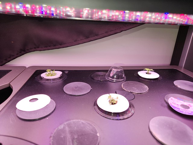 Update #1: Everything is growing nicely.