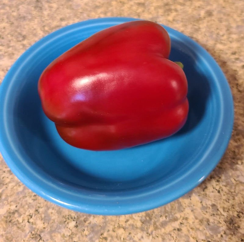 Update #13: The Pictures and Review (courtesy of Mark) of the King ArthurThe pepper is nice and heavy in weight. Has a sweet…