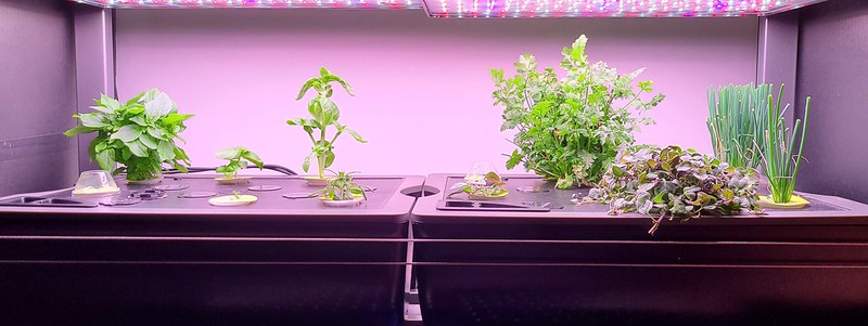 Update #1: I have ended the last two thread so make one combined thread. This will include both sides of the Farm Basic.I h…