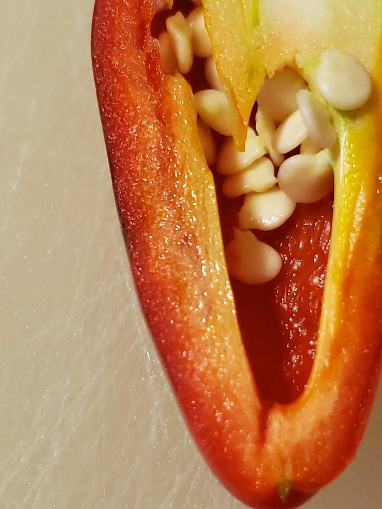Update #34: Jul 15, 2018 8:20:00 GMT -5 mike said:Fresnos are thinner walled than a jalapeno. How much thinner walled are th…
