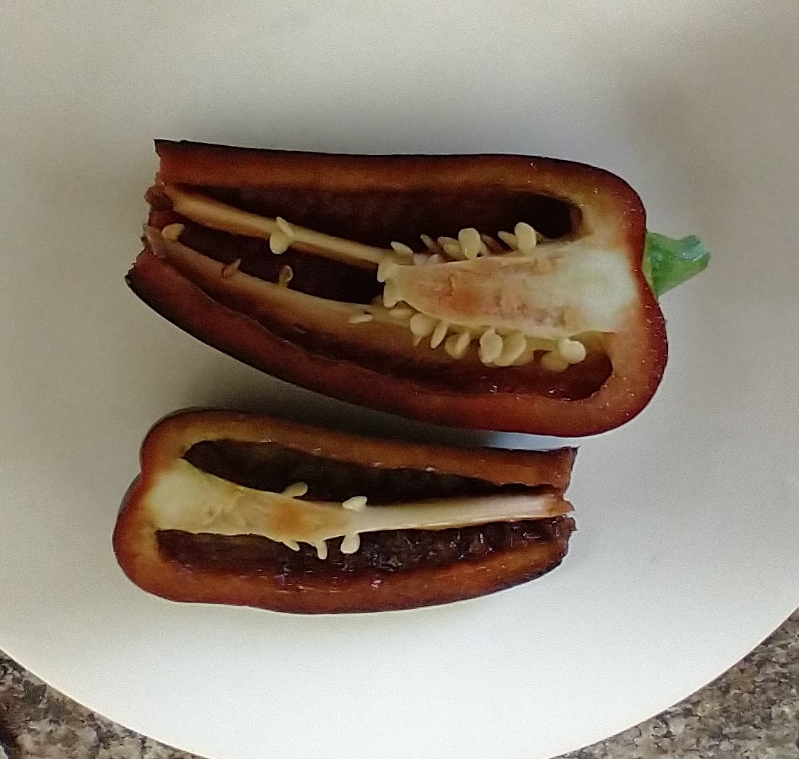 Update #22: I had to try one today. The stripes are not pronounced. It was 3-3/4" long, very crunchy, thick walled and sweet…
