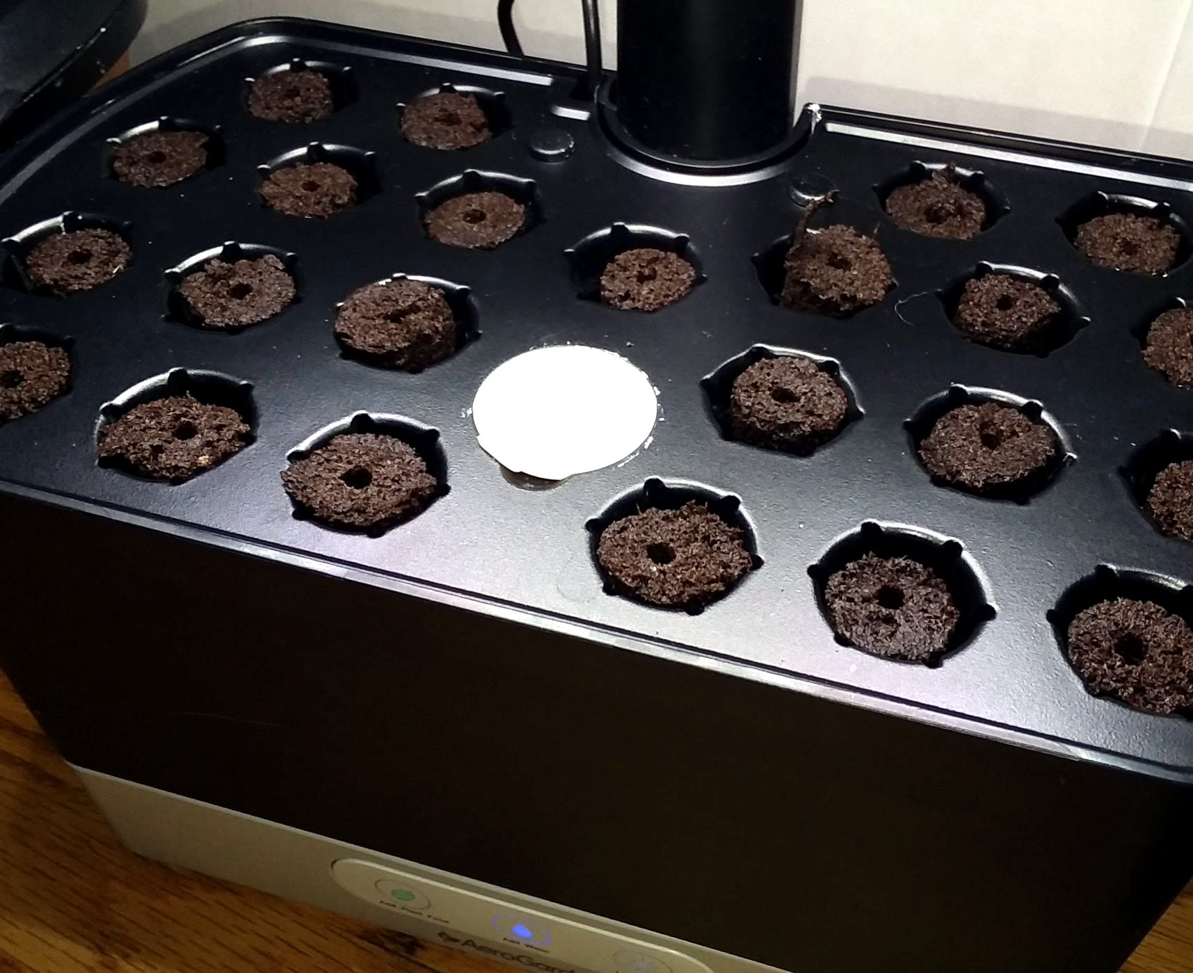 Mixed Seed-Starting Project Led by Outdoor Chinese Cabbage