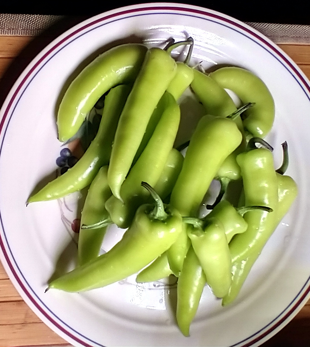 Sweet Banana Peppers Harvested Early after Insect Infestation