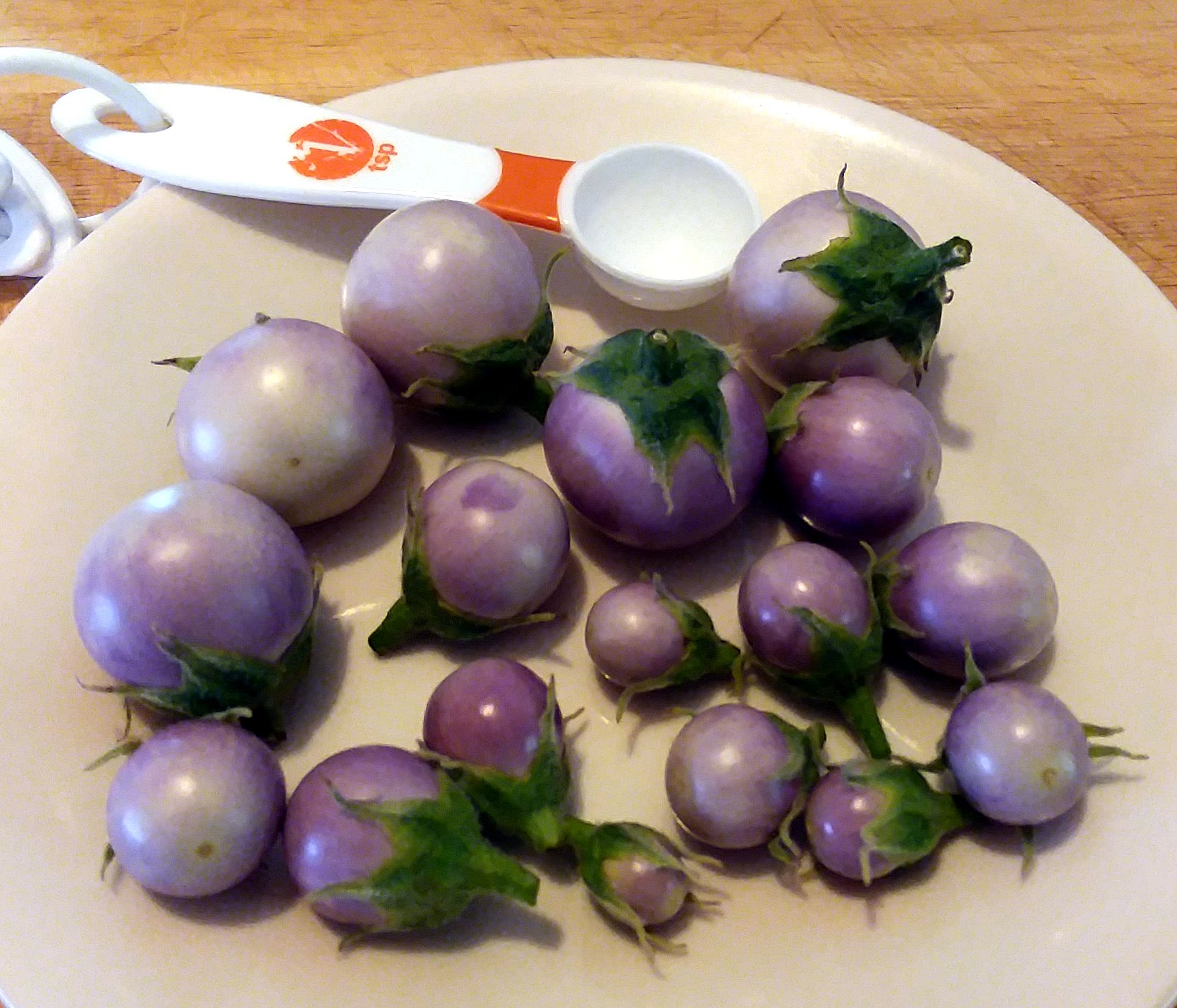 Dwarf Purple Thai Eggplants Produced Tiny Seedy Fruit in Kratky
