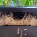 Update #5