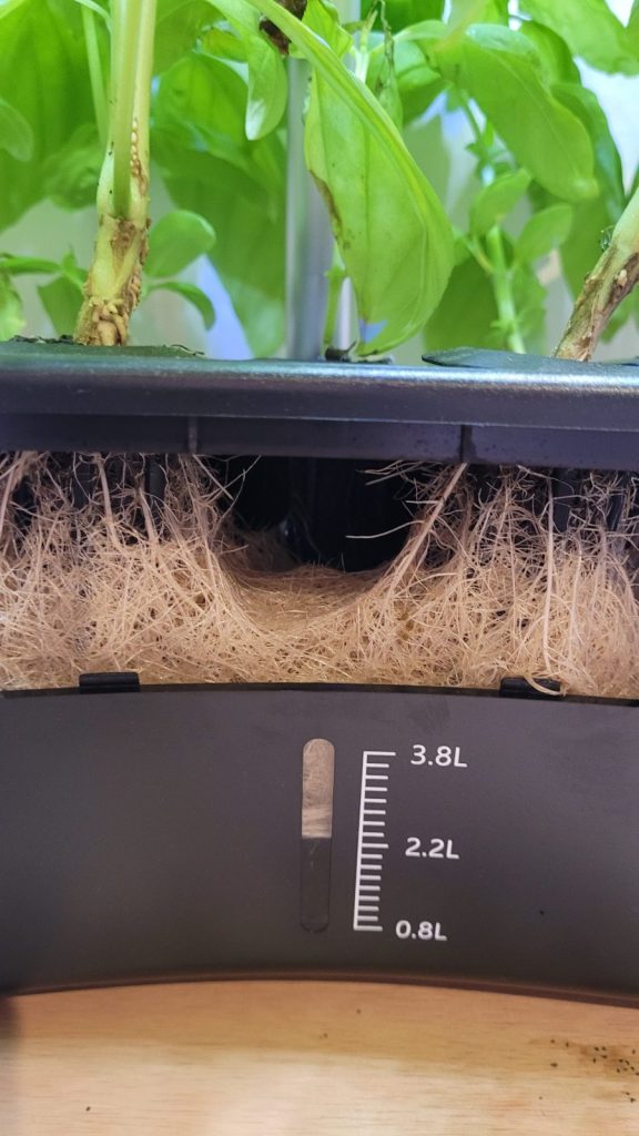 Update #5