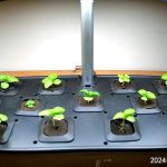 Update #3