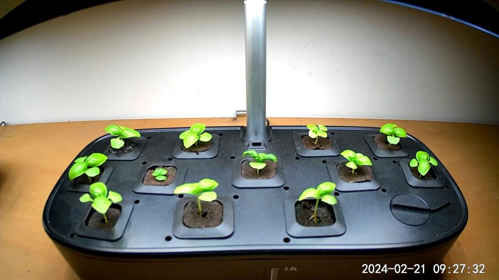 Update #3