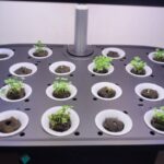 Update #3