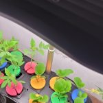Update #1