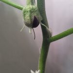 Update #6