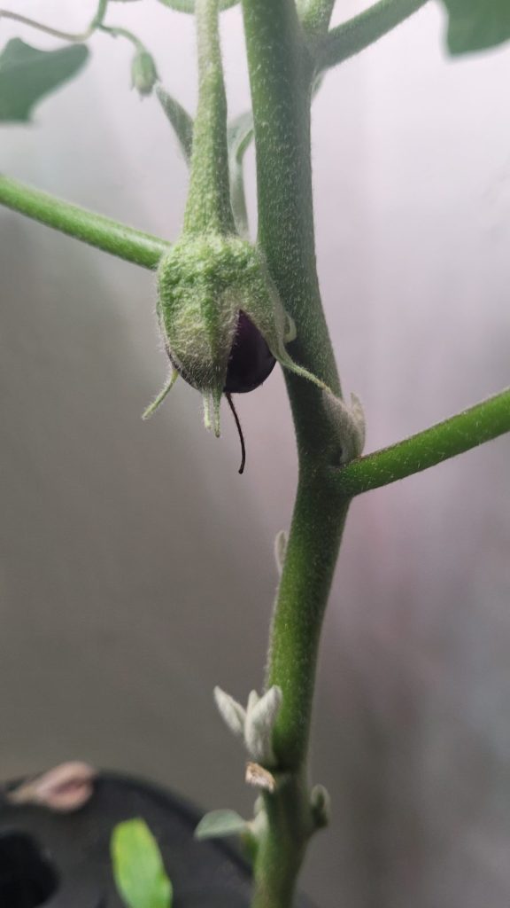 Update #6