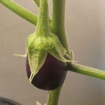 Update #7