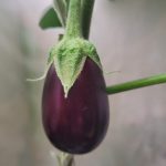 Update #8